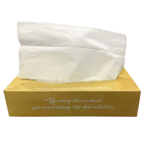 Sugarcane Facial Tissues Oblong 1x24
