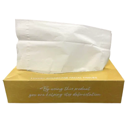 Sugarcane Facial Tissues Oblong 1x24